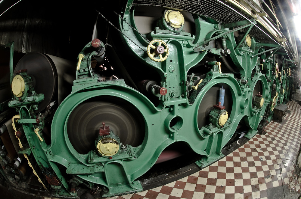 _DSC8143.jpg - Tomasz Zych       tomzych.com